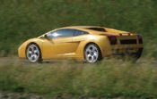 2008 Lamborghini Gallardo Picture